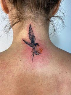 Наша студія відкриває свої двері для нових клієнтів 