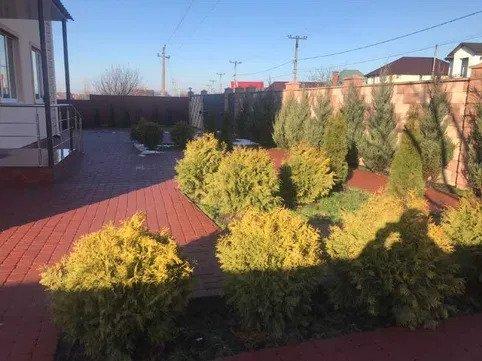 Пансіонат для літніх в Нових Петрівцях