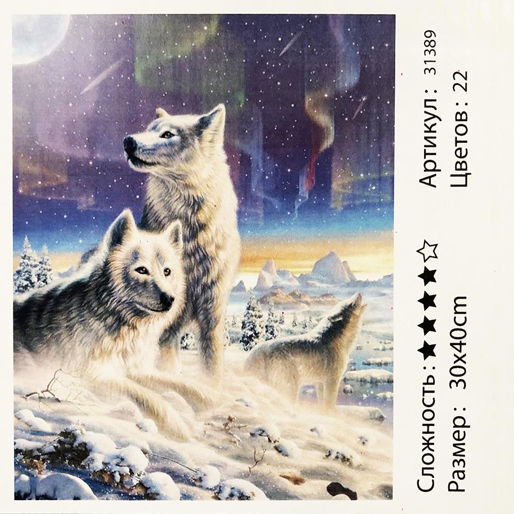 Картина за номерами: Північне сяйво. Розміри: 30 х 40 см. Малювання фарбами по номерам