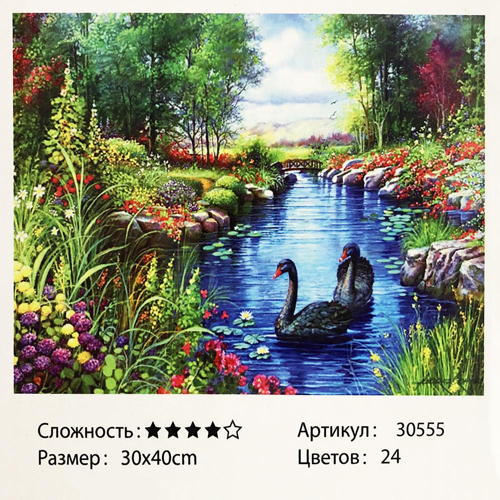 Картина за номерами: Чорні лебеді. Розміри: 30 х 40 см. Малювання фарбами по номерам