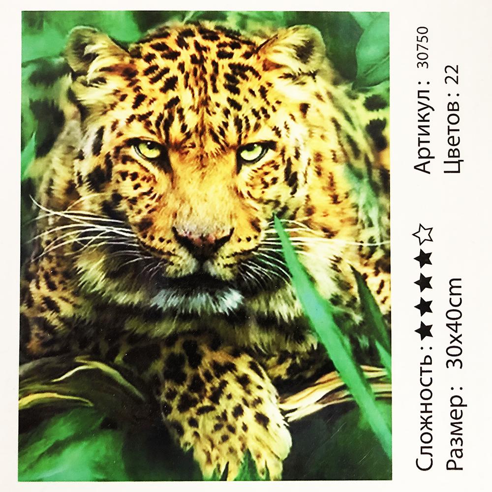 Картина за номерами: Гепард. Розміри: 30 х 40 см. Малювання фарбами по номерам